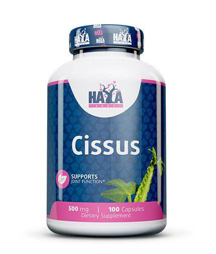 Haya Labs Cissus (Sparnuotasis lamstas) 100 kaps. - fiTT
