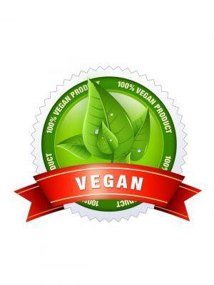 Peak Vegan Protein Isolate 750 g. - fiTT
